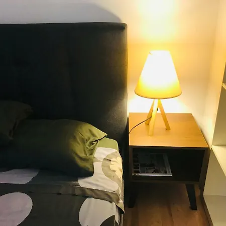 Luxurious Studio Loft Centre Apartament *