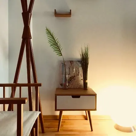 Luxurious Studio Loft Centre Apartment